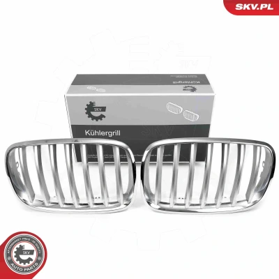Imagem de ESEN SKV 66SKV285 Grelha de Radiador crómio BMW: X5