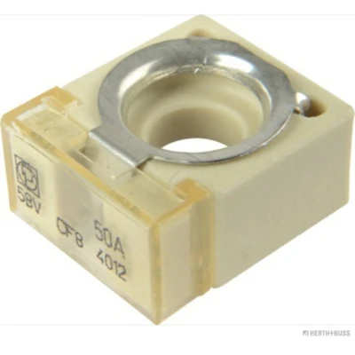Imagem de HERTH+BUSS ELPARTS 50295880 Fusível 50 58