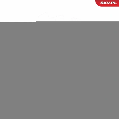 Imagem de ESEN SKV 66SKV280 Grelha de Radiador crómio/negro BMW: X5