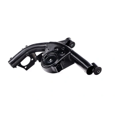Imagem de REINHOCH RH05 5008 Braço de suspensão Eixo traseiro direito oscilante longitudinal FIAT: Panda II Hatchback endado, norauto, oscaro, mister auto