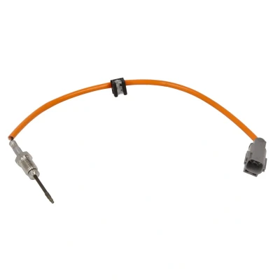 Imagem de DELPHI Sensor TS30381 12B1