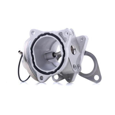 Imagem de DELPHI EG10421 12B1 Válvula EGR VOLKSWAGEN: Golf 4, 5, Polo IV Hatchback, AUDI: A3 Sportback, SEAT: Ibiza 3, Leon I Hatchback