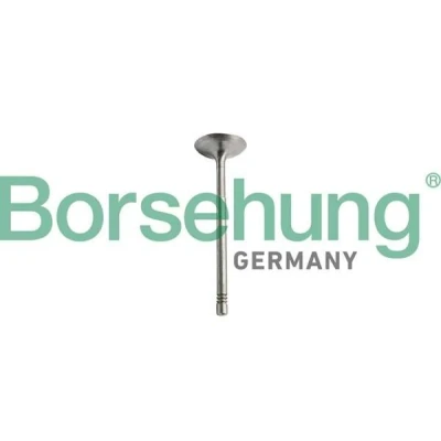 Imagem de Borsehung B10351 Válvula de Admissão MERCEDES BENZ: Classe C T modell