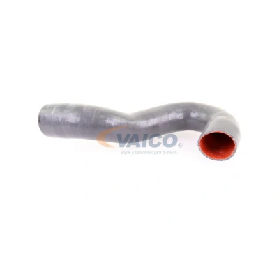 Imagem de VAICO V10 3784 Mangueira Para o Turbocompressor Borracha com entretela Original Quality