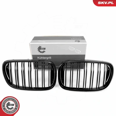 Imagem de ESEN SKV 66SKV223 Grelha de Radiador preto, brilhante BMW: 3 Sedan, Touring, Compact