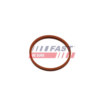 Imagem de FAST FT48932 Retentor, tubo do ar de sobrealimentação RENAULT: MEGANE 3, 3 Coupe, Grandtour, NISSAN: Juke, Qashqai / Qashqai+2 I