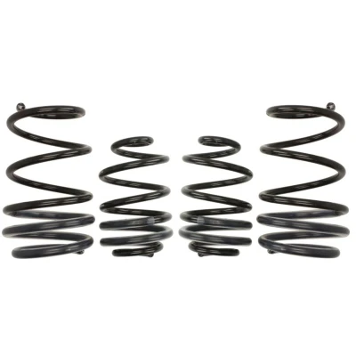 Imagem de EIBACH Pro Kit E10 75 008 07 22 de suspensão, molas RENAULT: CLIO 3