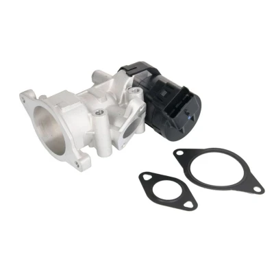 Imagem de NRF 48398 Válvula EGR elétrico com juntas FORD: Focus 2, 2 Kombi, S Max Mk1, PEUGEOT: 307 SW, 308 I Carrinha, CITROËN: C4 Hatchback