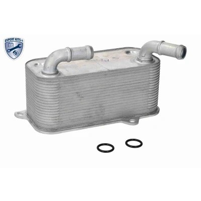 Imagem de VEMO V10 60 0106 Radiador de óleo, caixa velocidades automática
