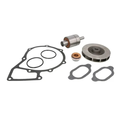 Imagem de DT Spare Parts 4.90921 Kit de reparação, bomba água