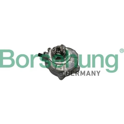 Imagem de Borsehung B18773 Bomba de Vácuo AUDI: A6 C6 Avant