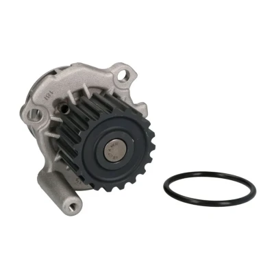 Imagem de THERMOTEC D1A024TT Bomba de água 19 com junta mecânico AUDI: A6 C5 Sedan, A4 B5 Avant, VOLKSWAGEN: Golf 4, Passat GP Sedan