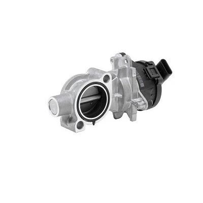 Imagem de WAHLER 72147558D Válvula EGR elétrico sem material de montagem