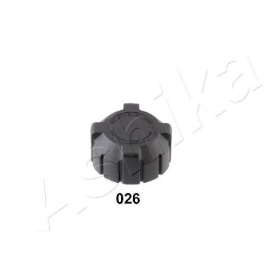 Imagem de ASHIKA 33 00 026 Tampa, radiador RENAULT: Kangoo I Express, 4 Carrinha, 11 Hatchback, NISSAN: Tiida FIAT: Punto Uno Hatchback