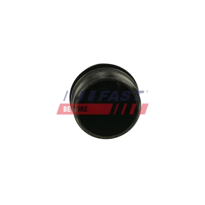 Imagem de FAST FT38087 Filtro de óleo M22X1 aparafusado FORD: Focus Mk1 Hatchback, Carrinha, Transit Connect Van