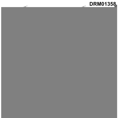 Imagem de DR.MOTOR AUTOMOTIVE DRM01358 Bujão do Carter M10x1,25x13 21 mm com retentor PEUGEOT: 208 I Hatchback, 206 308 SW 2, FORD: FIESTA 6