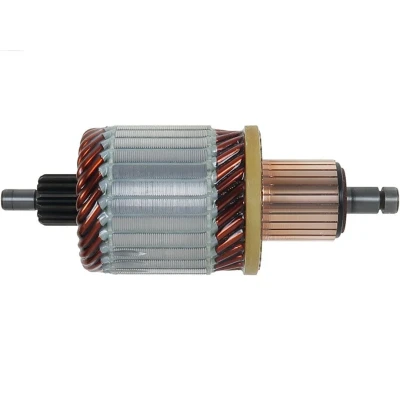 Imagem de AS PL SA0076 Induzido, motor de arranque