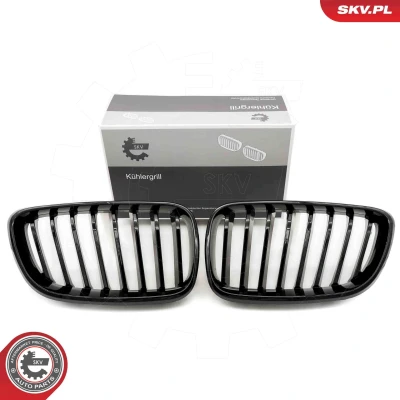 Imagem de ESEN SKV 66SKV029 Grelha de Radiador brilhante, preto BMW: 2 Coupe