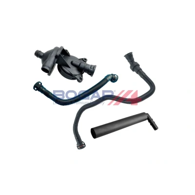Imagem de BOGAP B1217104 Kit de reparação, respiro do cárter da cambota