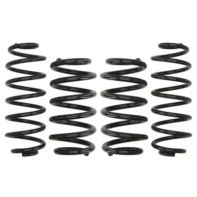 Imagem de EIBACH Pro Kit E10 15 018 02 22 de suspensão, molas