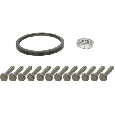 Imagem de Kit de reparação, volante do motor FEBI BILSTEIN 47987