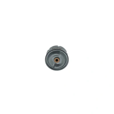 Imagem de BOSCH F 026 407 099 Filtro de óleo Centrífugo LAND ROVER: Defender SUV, SUV Cabrio, Pick up, FORD: Transit Mk6 Van