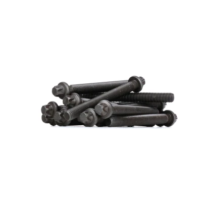 Imagem de FEBI BILSTEIN 08245 Jogo de Parafusos da Cabeçote torx exterior BMW: 5 Sedan, 3 Touring