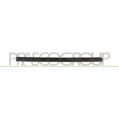 Imagem de Friso, porta PRASCO VG9041454