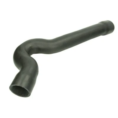 Imagem de THERMOTEC DCP006TT Tubo flexível de admissão, filtro ar à direita