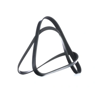 Imagem de FEBI BILSTEIN 39793 Correia trapezoidal estriada 1642 6 EPDM (borracha de etileno propileno dieno) RENAULT: CLIO 2, Kangoo I Express, Scénic 1