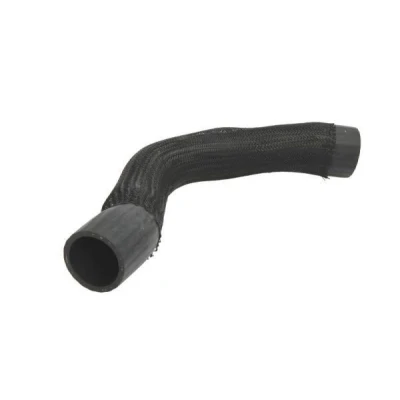 Imagem de THERMOTEC DCA021TT Mangueira Para o Turbocompressor
