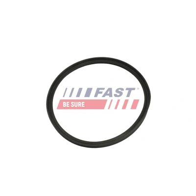 Imagem de FAST FT48961 Juntas