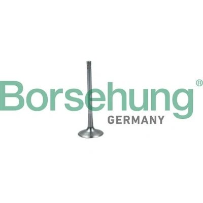 Imagem de Borsehung B19026 Válvula de Admissão VOLKSWAGEN: GOLF 6, Transporter 5 Bus, AUDI: A4 B7 Avant, B6/B7 Cabrio