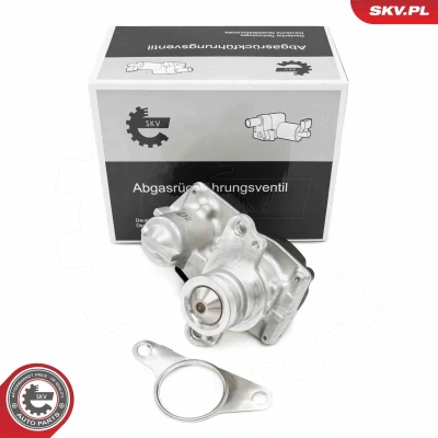 Imagem de ESEN SKV 14SKV267 Válvula EGR NISSAN: Qashqai / Qashqai+2 I, 2, RENAULT: MEGANE 3 Grandtour, GRAND SCENIC 3, OPEL: Vivaro B Van