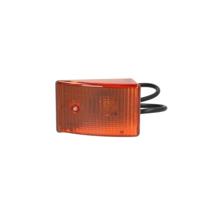 Imagem de Luz intermitente DT Spare Parts 4.63536