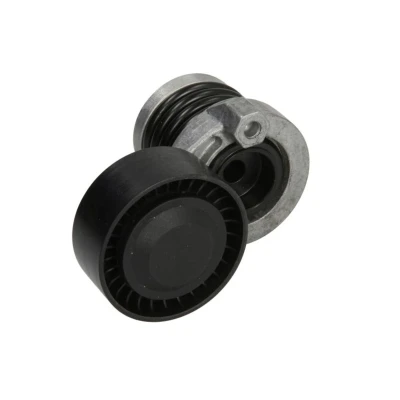 Imagem de BTA E3R0009BTA Tensor da Correia RENAULT: CLIO 2, SCENIC 3 Kasten, NISSAN: Qashqai / Qashqai+2 I