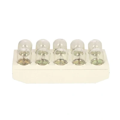 Imagem de BOSCH 1 987 302 505 Lâmpada 24 10 R10W