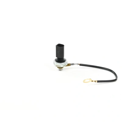 Imagem de DELPHI SW90054 Sensor Pressão do Óleo M10, M10x1.0 0,12bar 1,2, 1,6bar VOLKSWAGEN: Golf 5, AUDI: A3 Hatchback, Sportback, SEAT: Altea