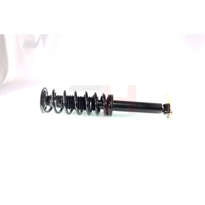 Imagem de GH 331560C01 Conjunto mola/amortecedor Eixo traseiro, à direita, esquerda, traseiro direito, esquerdo