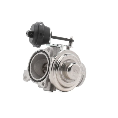 Imagem de PIERBURG 7.24809.19.0 Válvula EGR pneumático de membrana com junta VOLKSWAGEN: Passat B5 GP Variant, Sharan I, Sedan