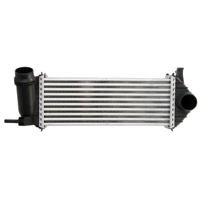 Imagem de THERMOTEC DAM019TT Intercooler RENAULT: Kangoo II / Grand Kangoo, Express