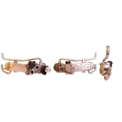 Imagem de ELSTOCK 73 0138 Módulo RGE (recirculação dos gases de escape) com juntas, radiador da recirculação escape SEAT: Ibiza 4 ST,