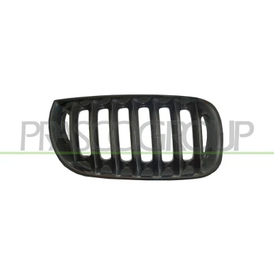 Imagem de PRASCO BM8022013 Grelha de Radiador à frente, lado direito BMW: X3