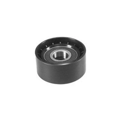 Imagem de MAGNETI MARELLI 331316170096 Polia Tensora PEUGEOT: 206 Hatchback, SW, Partner I Van, CITROËN: Xsara Berlingo / First Van