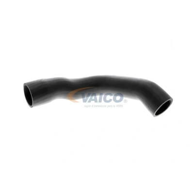 Imagem de VAICO V30 2243 Mangueira Para o Turbocompressor Borracha com entretela Original Quality