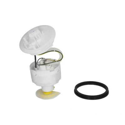 Imagem de DELPHI FG0978 12B1 Unidade de alimentação combustível com juntas sem sensor pressão, guarnição na ponta do tubo Gasolina AUDI: A4 B6 Avant
