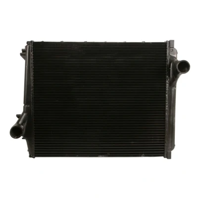 Imagem de Intercooler NRF 30391