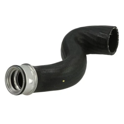 Imagem de Mangueira de ar carga THERMOTEC DCW317TT