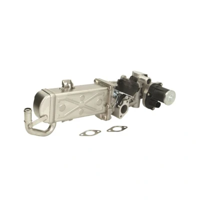 Imagem de ENGITECH ENT500100 Módulo RGE (recirculação dos gases de escape) VOLKSWAGEN: Polo V Hatchback, Passat B6 Sedan, Golf 6, SEAT: Ibiza 4