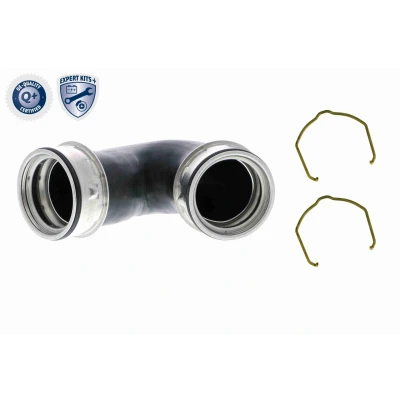 Imagem de VAICO V10 5300 Mangueira Para o Turbocompressor Borracha com entretela grampo VOLKSWAGEN: Passat B5 GP Variant, Sedan